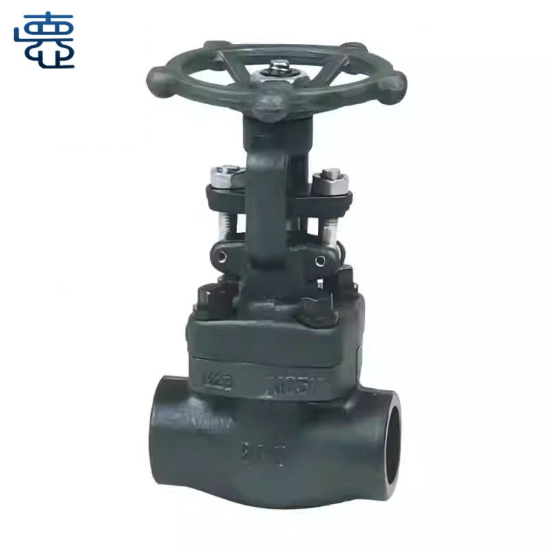 Socket Weld Gate Valve